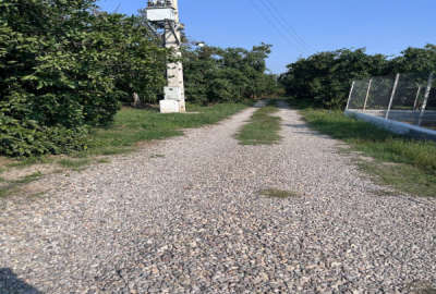 فروش زمین باغ شمال ۱۲۲۳ متر ساری روستای دولت اباد