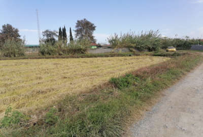 فروش زمین کشاورزی شمال ۲۱۰۰ متر آمل بلوار لایت روستای تجنک
