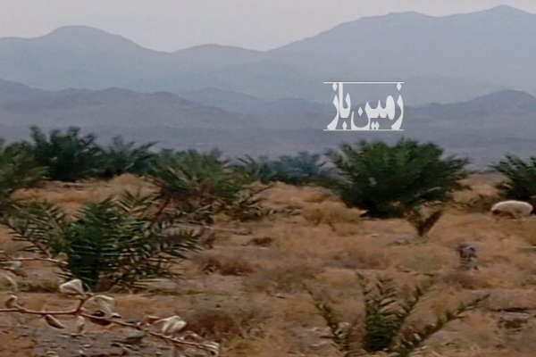 فروش زمین باغ هرمزگان ۱۱۰۰۰ متر حاجی‌ آباد-1