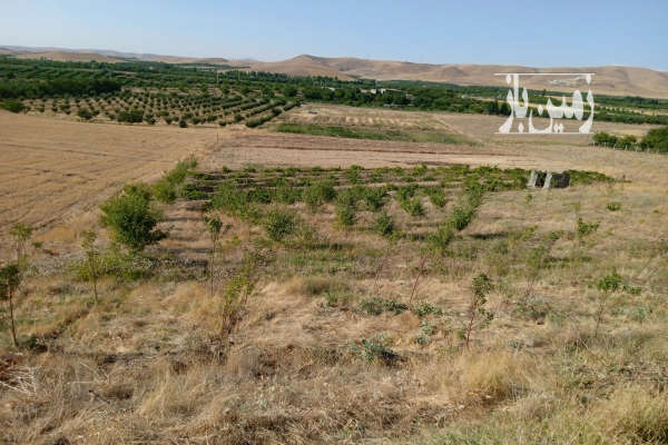 فروش زمین باغ آذربایجان غربی ۴۹۶۰ متر شاهین‌ دژ پمپاژ هولاسو دوشاپ تپراقی-3