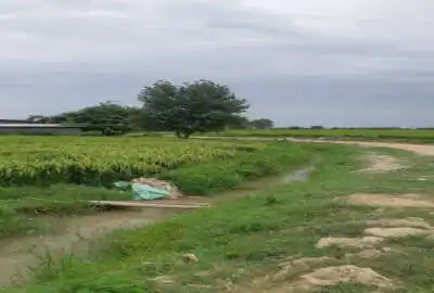 فروش زمی ۱۴۱۶۶ متر محمودآباد روستای چهارافرا