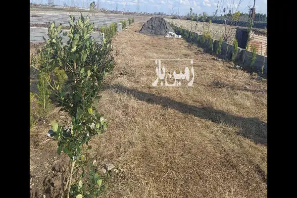 فروش زمین ۴۶۲۸ متر محمودآباد روستای چهارافرا - تصویر 3