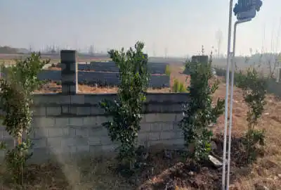 فروش زمین ۴۶۲۸ متر محمودآباد روستای چهارافرا