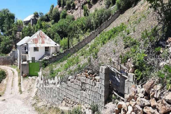 فروش زمین مسکونی شمال ۵۵۰ متر ساری روستای کنیم-2