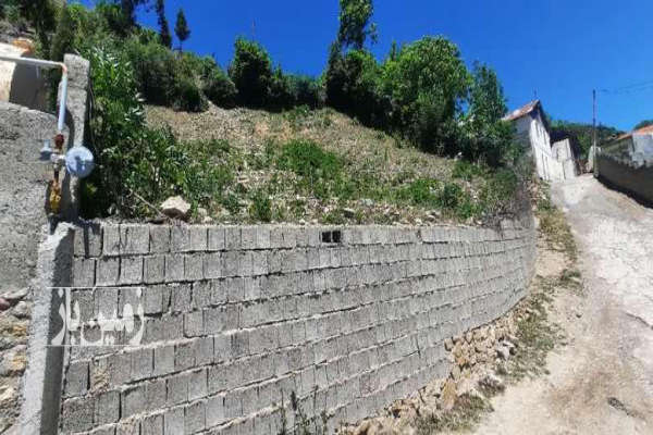 فروش زمین مسکونی شمال ۵۵۰ متر ساری روستای کنیم-3