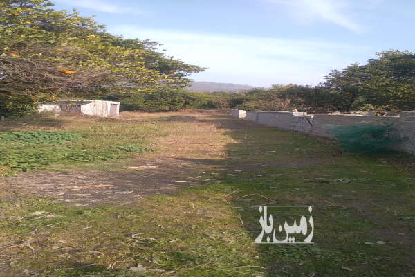 فروش زمین باغ شمال ۲۰۰ متر شیرگاه چایباغ-4