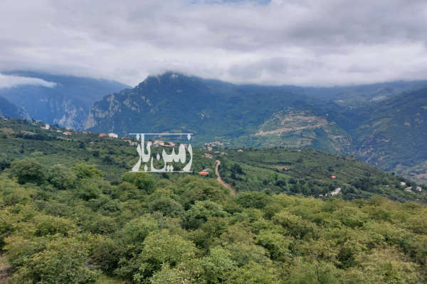 فروش زمین مسکونی گیلان ۵۸۰ متر رحیم‌ آباد روستای جیرکل-2