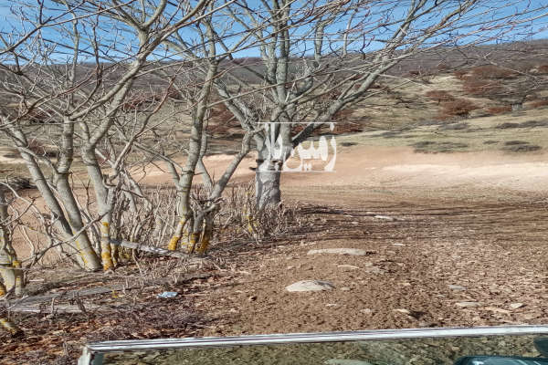 فروش زمین کشاورزی شمال ۵۰۰۰ متر ساری کلیجان رستاق روستای پروریج آباد-4