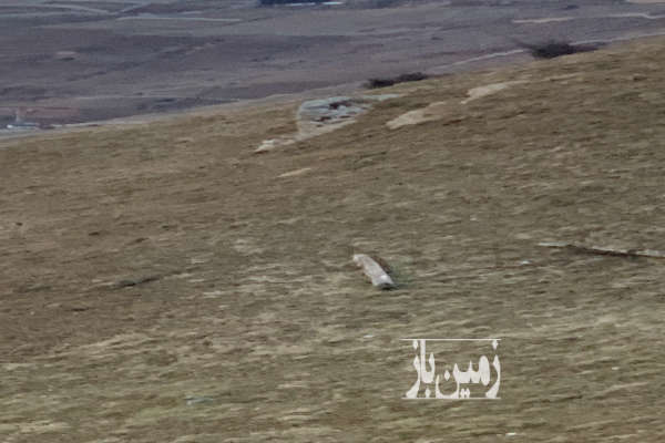 فروش زمین باغ شمال ۲۰۰ متر کلاردشت روستای کلنو-2