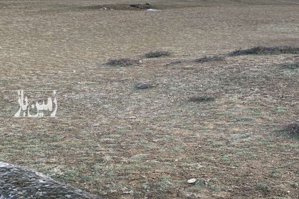 فروش زمین باغ شمال ۲۰۰ متر کلاردشت روستای کلنو-4