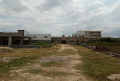 فروش زمین مسکونی شمال ۲۲۵ متر ساری بلوار پاسداران