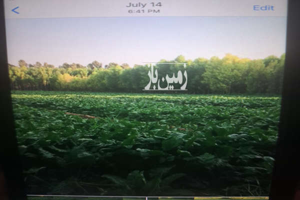 فروش زمین کشاورزی آذربایجان غربی ۸۵۰۰ متر شاهین‌ دژ روستای نوروزاباد-1