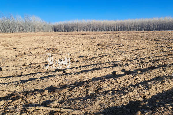 فروش زمین کشاورزی آذربایجان غربی ۸۵۰۰ متر شاهین‌ دژ روستای نوروزاباد-2