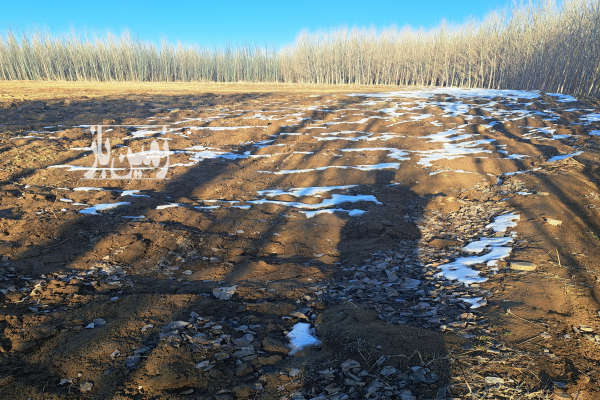 فروش زمین کشاورزی آذربایجان غربی ۸۵۰۰ متر شاهین‌ دژ روستای نوروزاباد-4