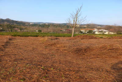 فروش زمین مسکونی گیلان ۳۲۵ متر رودسر روستای سیاه لات