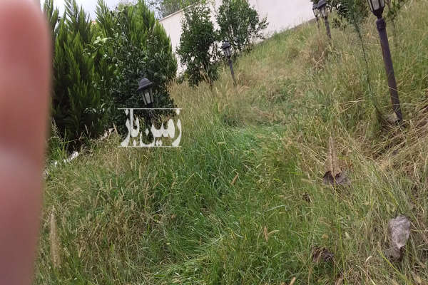 فروش زمین مسکونی گیلان ۱۱۳۲ متر لاهیجان روستای دهسر-1