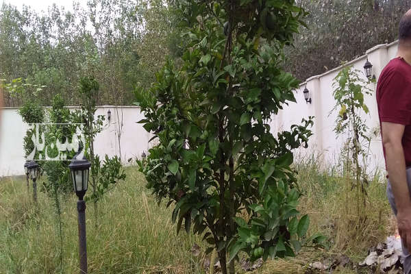 فروش زمین مسکونی گیلان ۱۱۳۲ متر لاهیجان روستای دهسر-4