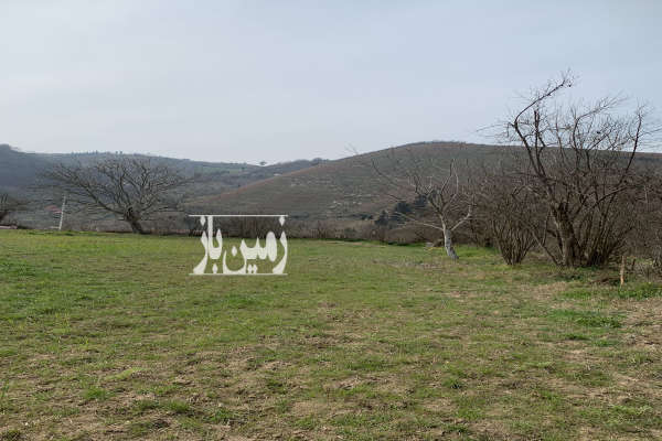 فروش زمین باغ شمال ۵۰۰ متر رستمکلا-1