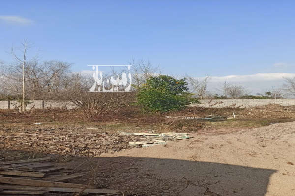 فروش زمین مسکونی گیلان ۵۲۰ متر لاهیجان-2