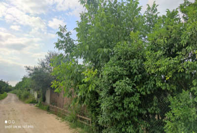 فروش زمین کشاورزی شمال ۳۰۰ متر ساری پشت ششصد دستگاه