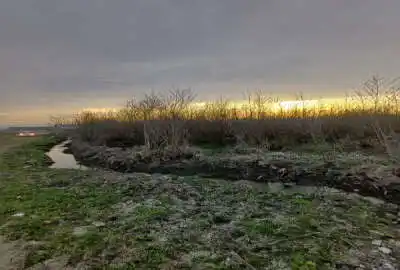 فروش زمین باغ گیلان ۲۰۰۰ متر رضوانشهر روستای الله بخش محله