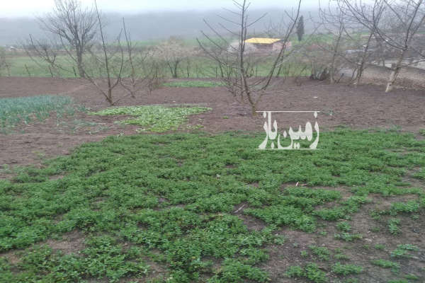 فروش زمین مسکونی شمال ۲۷۰ متر ساری روستای ورکی-1