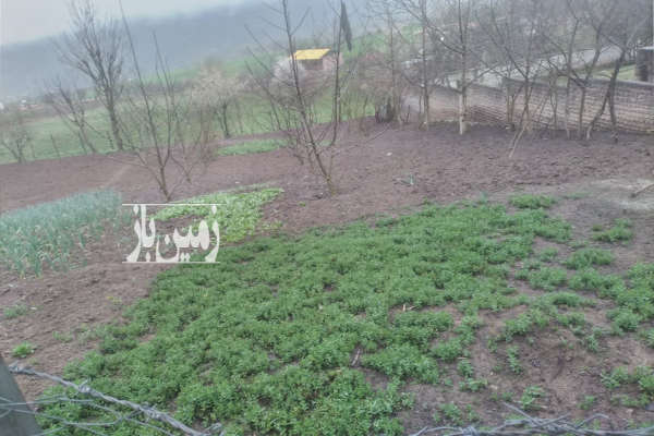 فروش زمین مسکونی شمال ۲۷۰ متر ساری روستای ورکی-2