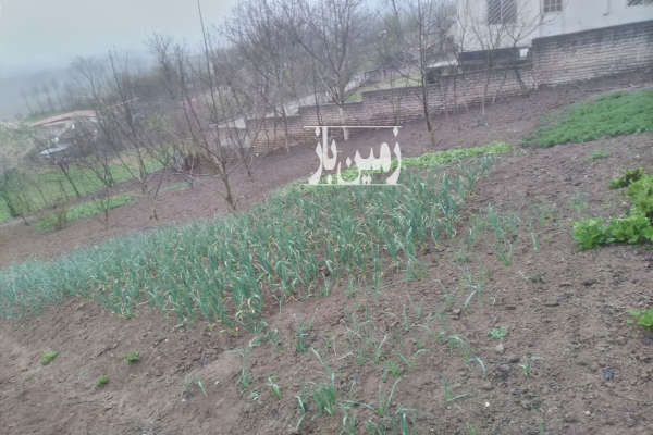 فروش زمین مسکونی شمال ۲۷۰ متر ساری روستای ورکی-3