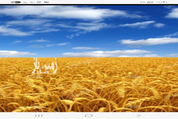 فروش زمین کشاورزی مشهد ۸۷ متر ۵ کیلومتری جاده سرخس مزرعه تیمور آباد-1