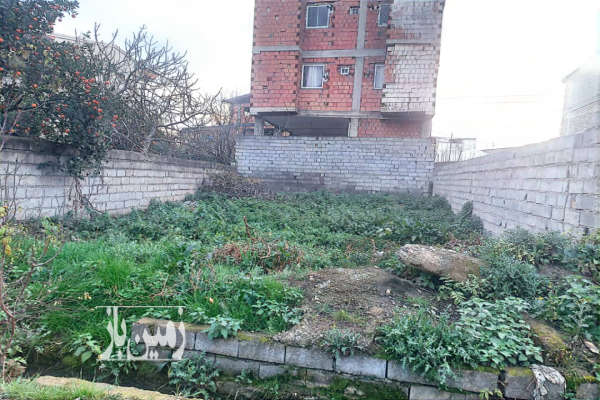 فروش زمین مسکونی شمال ۱۲۰ متر قائمشهر خیابان تهران-3