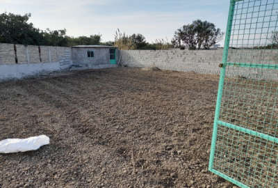 فروش زمین باغ شمال ۴۰۵ متر ساری کوی اصحاب