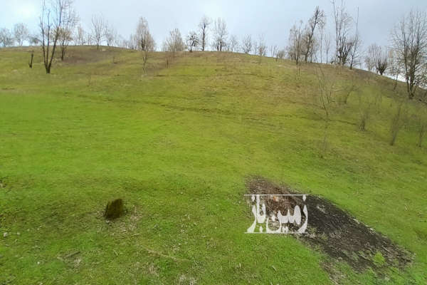 فروش زمین مسکونی گیلان ۲۰۰۰ متر تالش خطبه سرا انبوه مشایخ شوکیز محله-1