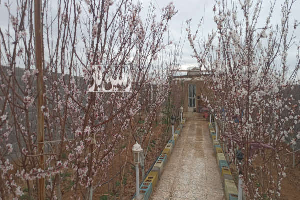 فروش زمین کشاورزی اصفهان ۵۰۰ متر جاده‌ دولت آباد به سمت جبیب آباد-2