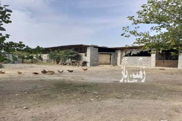 فروش زمین باغ صنعتی کشاورزی شمال ۱ هکتار آمل کلا صفا هلی کتی-3
