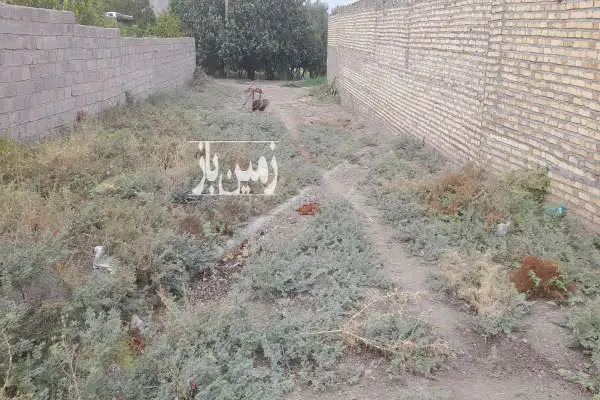 فروش زمین مسکونی زنجان ۳۰۰ متر طارم روستای جیا - تصویر 2