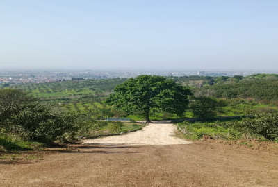 فروش زمین باغ شمال ۹۰۰ متر ساری روستای کردخیل