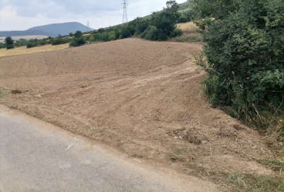 فروش زمین کشاورزی شمال ۶۰۰۰ متر ساری چهار دانگه روستای کیاده