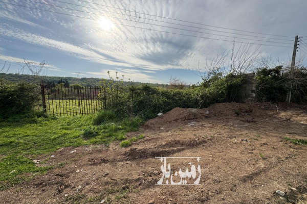 فروش زمین مسکونی تجاری باغی شمال ۵۰۰ متر قائمشهر-1