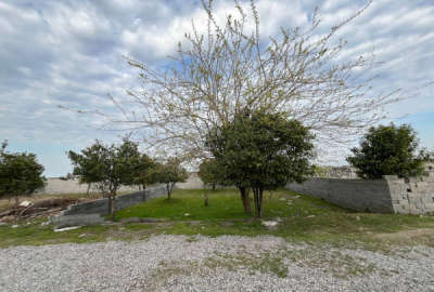 فروش زمین مسکونی باغ شمال ۱۴۰ متر بابل آغوزبن