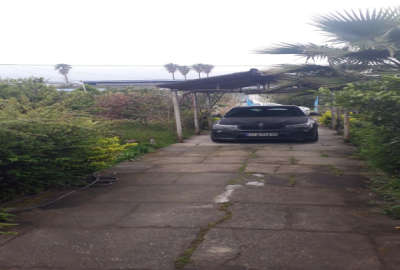 فروش زمین مسکونی شمال ۷۱۵ متر نوشهر