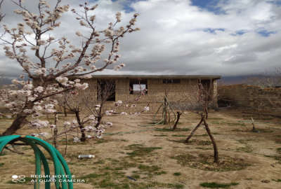 فروش زمین مسکونی باغ یزد ۸۷۰ متر مهریز تنگ چنار روستای حسین آباد