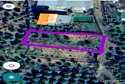 فروش زمین باغ شمال ۱۰۰۰ متر بابل روستای گنج افروز