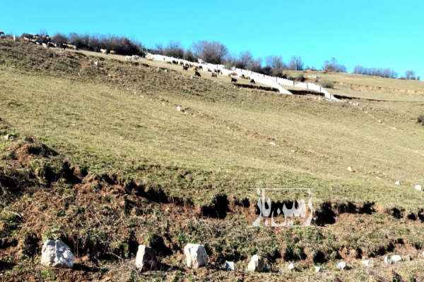 فروش زمین شمال ۳۱۰ متر کلاردشت روستای سنار-3