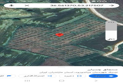 زمین در شمال یک هکتار روستای لالیم با ویو عالی