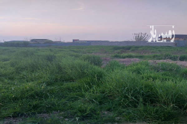 فروش زمین مسکونی باغی  شمال ۱۰۰۰ متر بهنمیر روستای تنبلا-2