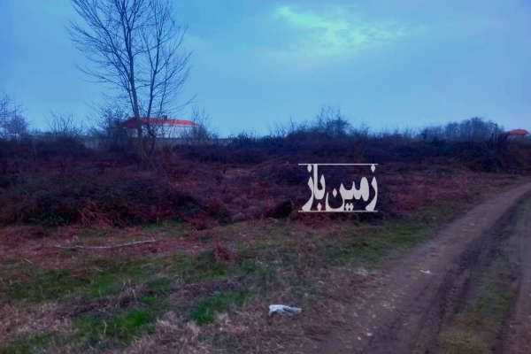 فروش زمین باغ گیلان ۱۲۶۰ متر صومعه‌ سرا روستای نفوت-2