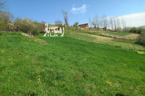 فروش زمین مسکونی باغ شمال ۱۷۰۰ متر نکا هزارجریب روستای سیکا-1