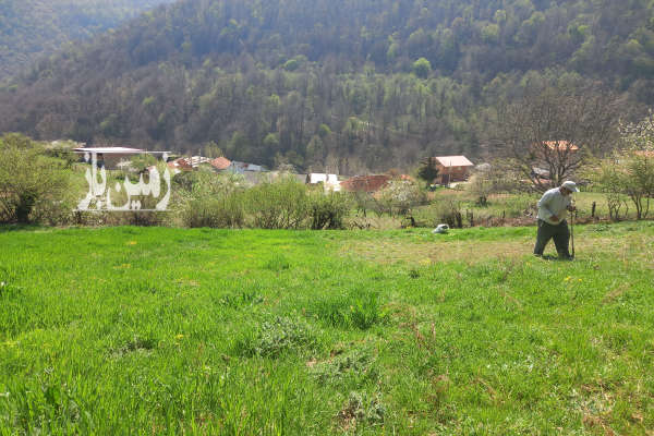 فروش زمین مسکونی باغ شمال ۱۷۰۰ متر نکا هزارجریب روستای سیکا-2