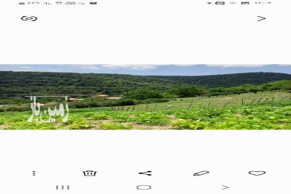 فروش زمین مسکونی باغ شمال ۱۷۰۰ متر نکا هزارجریب روستای سیکا-4