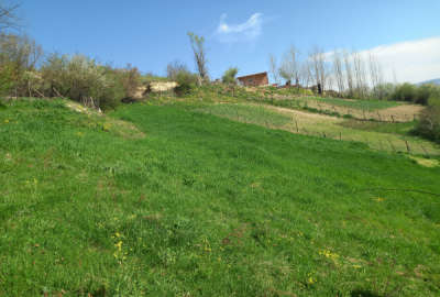 فروش زمین مسکونی باغ شمال ۱۷۰۰ متر نکا هزارجریب روستای سیکا